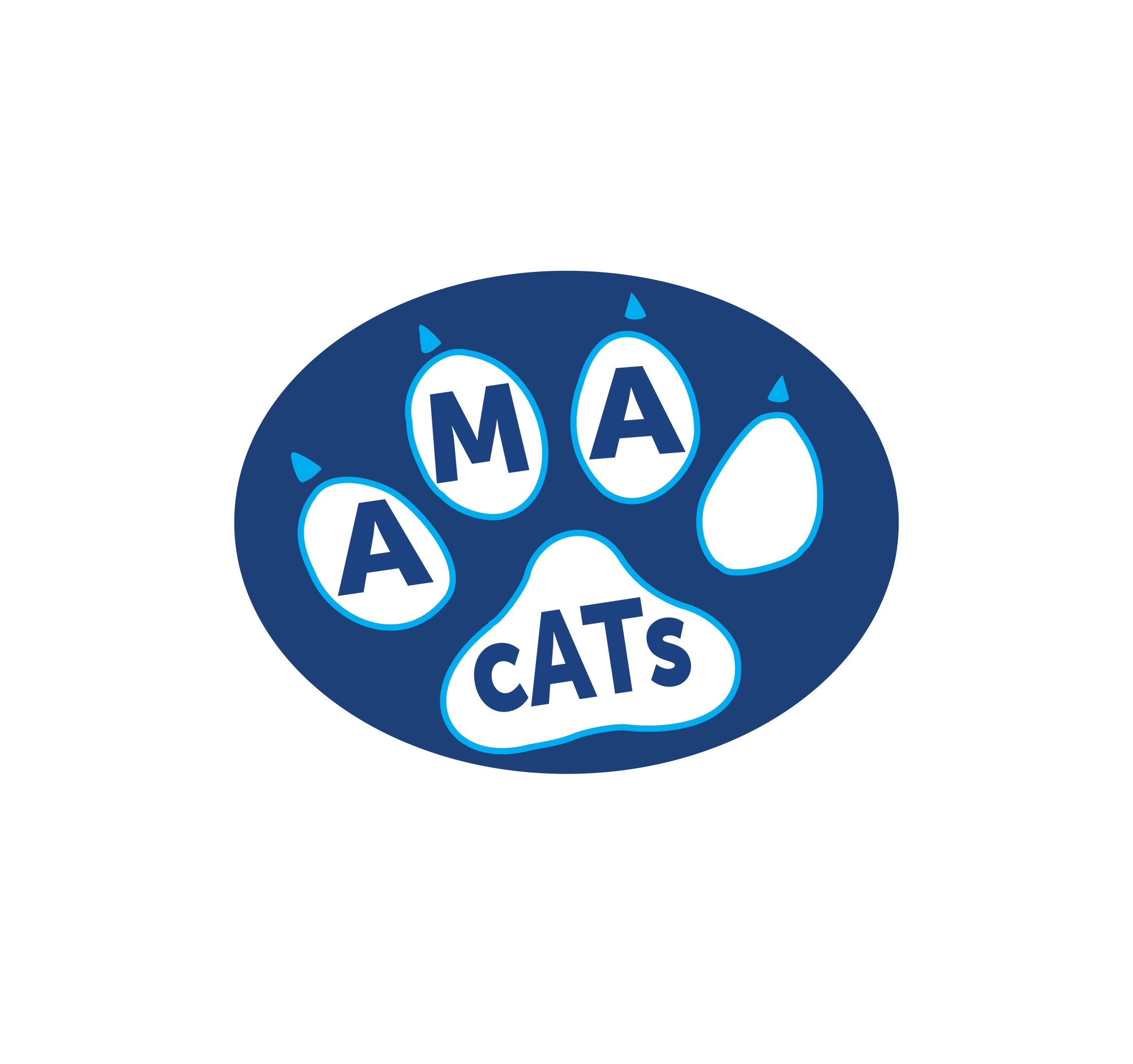 arena para gatos